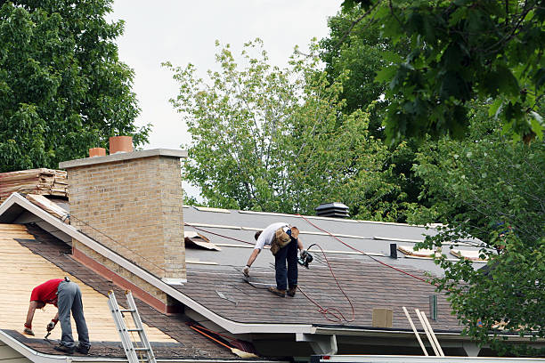 Best Roof Gutter Cleaning  in St Peter, WI