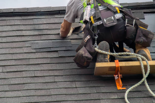 Best Roof Gutter Cleaning  in St Peter, WI