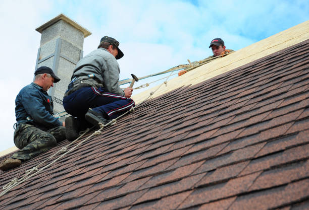 Best Roofing Contractor Near Me  in St Peter, WI